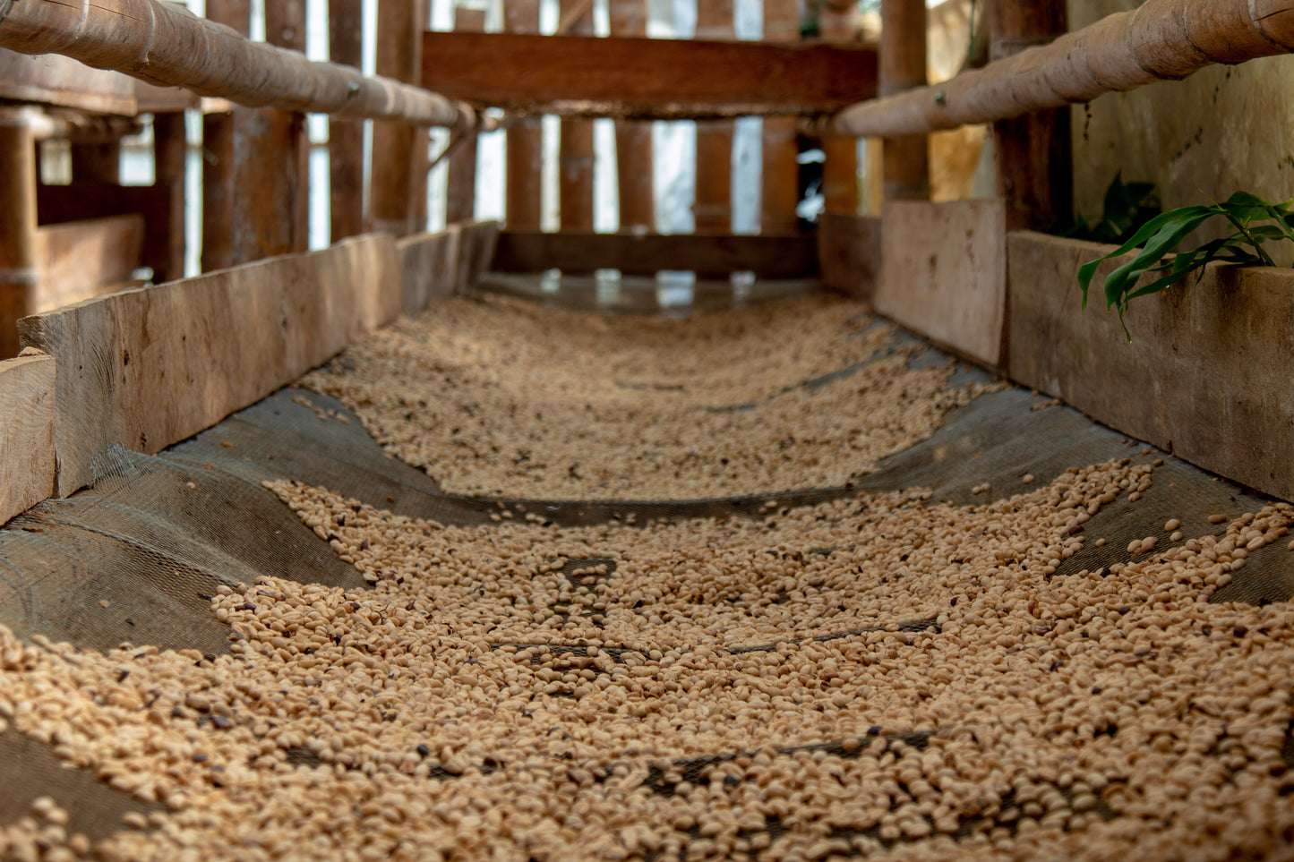 Colombia – La Unión, Nariño