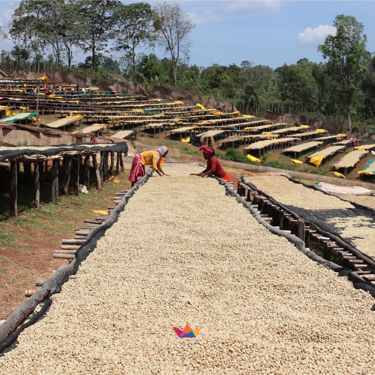 Ethiopia – Sidama Duwancho