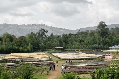 Ethiopia – Sidama Duwancho