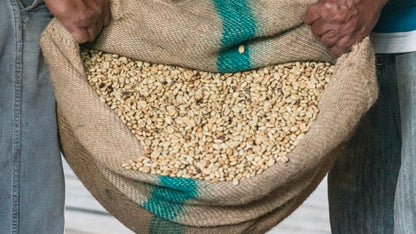 Sumatra – Mandheling- Koperasi Buana Mandiri