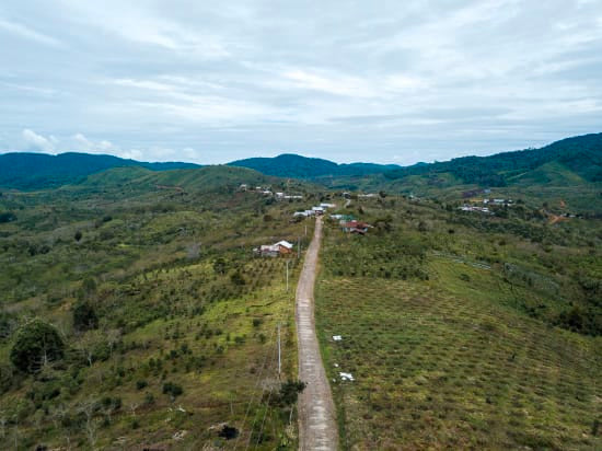 Sumatra – Mandheling- Koperasi Buana Mandiri